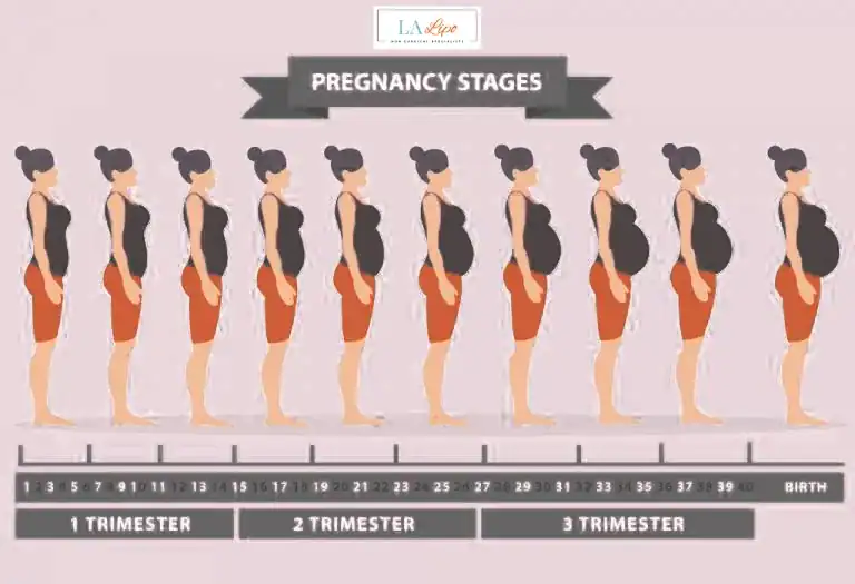 First Trimester (Weeks 1–12): Early Changes You Might Not Notice Greenwich